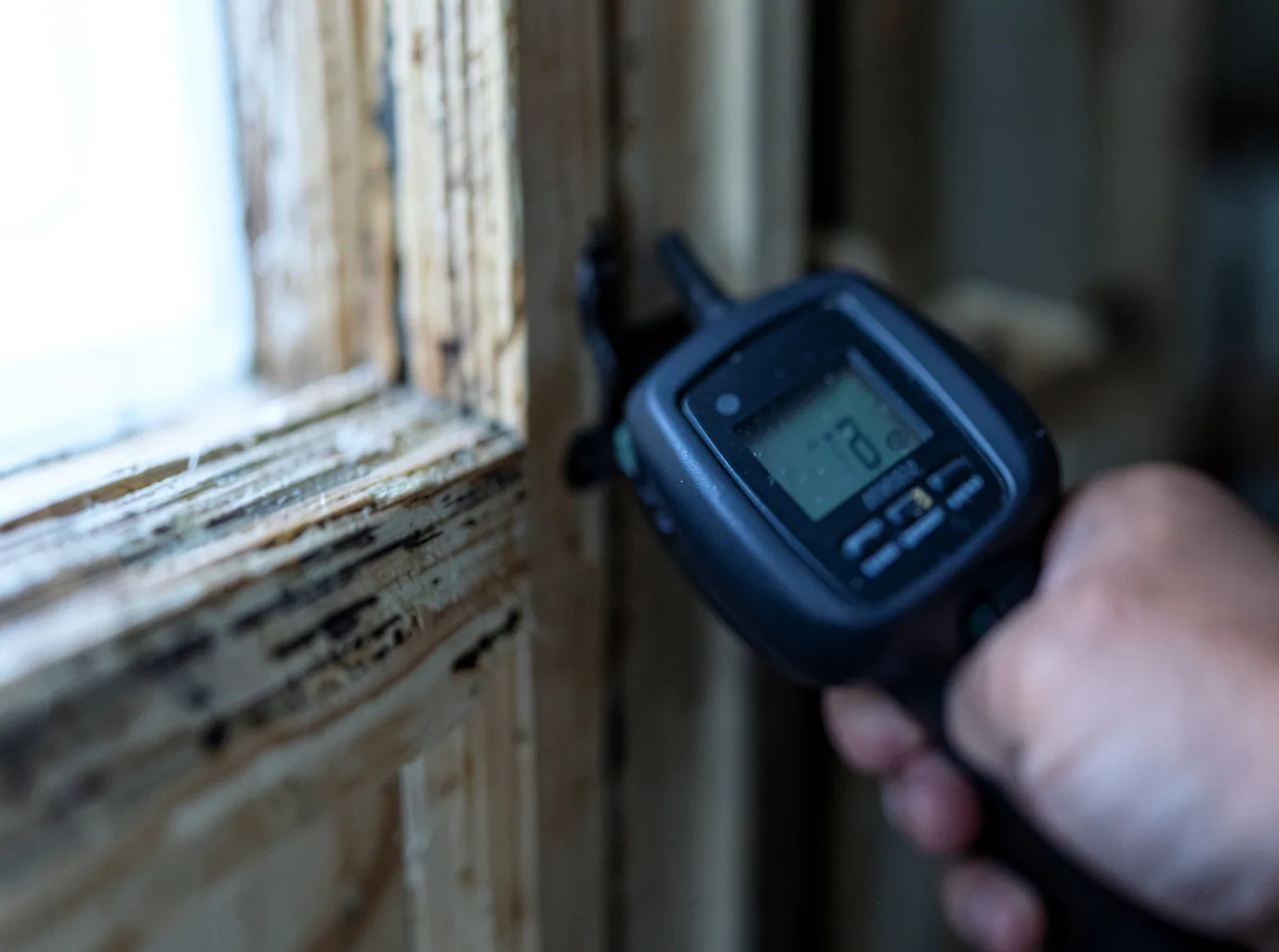 Moisture Inspection And Documentation in Neenah, WI